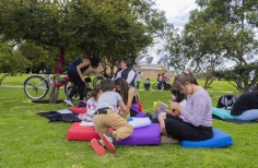 Actividades artística as y cinematográficas en Cinemateca al parque 2023