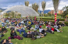 Actividades artística as y cinematográficas en Cinemateca al parque 2023