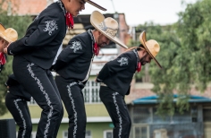Festival ciudad folclor