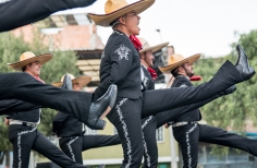 Festival ciudad folclor