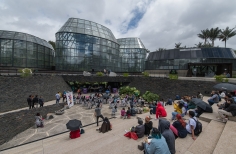 Picnic literario en el Jardín Botánico