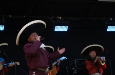 Serenatas a Bogotá, Proyecto Mixtura