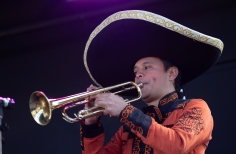 Serenatas a Bogotá, Proyecto Mixtura
