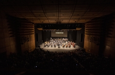 Festival Folclórico Colombiano