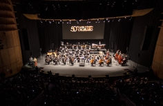 Festival Folclórico Colombiano