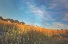  Lanzamiento película Una estrella en ascenso.