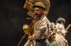 FIAV - La Gata Cirko