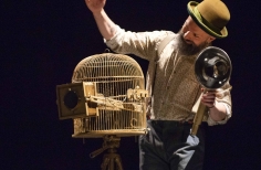 FIAV - La Gata Cirko