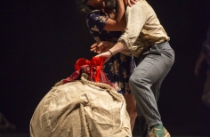 FIAV - La Gata Cirko