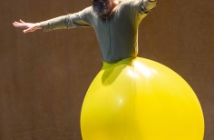 FIAV - La Gata Cirko