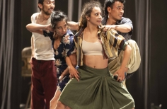 FIAV - La Gata Cirko