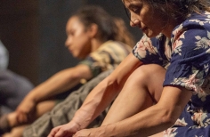 FIAV - La Gata Cirko