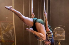 FIAV - La Gata Cirko