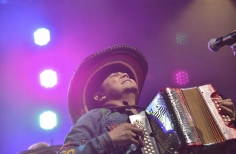 Tortazo Homenaje a la cumbia - Andrés Landero