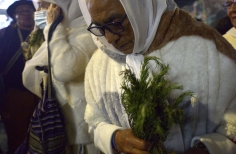 Sectores Sociales. Festival Jizca Chia Zhue. Bosatama 