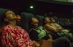 Franja Proyección PDE- Ganadores de la Beca de Creación de Videoarte para domo (2024)