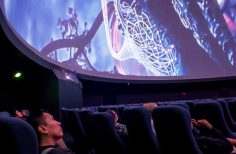 Franja Proyección PDE- Ganadores de la Beca de Creación de Videoarte para domo (2024)