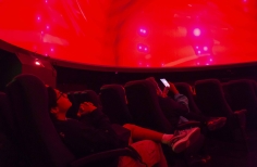 Franja Proyección PDE- Ganadores de la Beca de Creación de Videoarte para domo (2024)