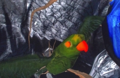 Franja de proyección fulldome - Materialidades Digitales