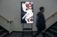 Franja Proyección PDE- Ganadores de la Beca de Creación de Videoarte para domo (2024)