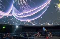 Franja show en vivo LIVE - Domo - Malitzin Cortes