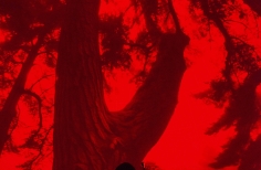 Franja Proyección PDE Alpeh