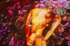 Franja Proyección PDE Alpeh