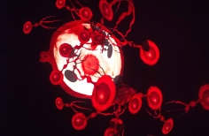 Franja Proyección PDE Alpeh