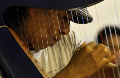 El arpa llanera y su fusión con las músicas del mundo. U. Nal.