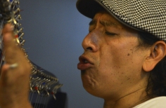 El arpa llanera y su fusión con las músicas del mundo. U. Nal.