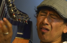 El arpa llanera y su fusión con las músicas del mundo. U. Nal.