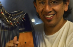 El arpa llanera y su fusión con las músicas del mundo. U. Nal.