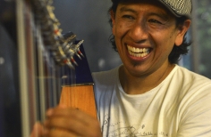 El arpa llanera y su fusión con las músicas del mundo. U. Nal.