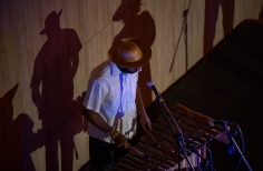 Muestra Afro - Toma Afro