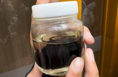 Festival Geek. Planetario