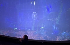Celebración día mundial de los océanos. Planetario