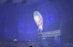 Celebración día mundial de los océanos. Planetario