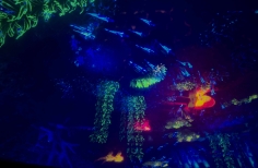 Celebración día mundial de los océanos. Planetario