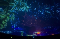 Celebración día mundial de los océanos. Planetario