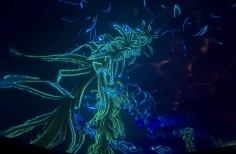 Celebración día mundial de los océanos. Planetario