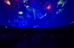 Celebración día mundial de los océanos. Planetario