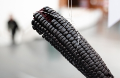 Astronomía sin fronteras