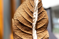 Astronomía sin fronteras