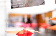 Astronomía sin fronteras