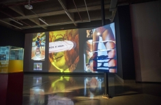 Fin de semana ARTBO - Nadia Granados - La fulminante - Galería Santa Fe