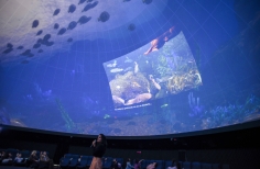 Celebración día mundial de los océanos. Planetario