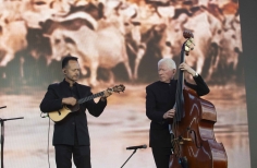 Joropo al parque. Valentino Caroprese Piano Joropo