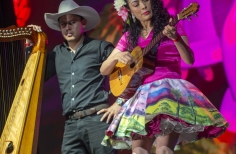 Joropo al parque. El arpa en tradición