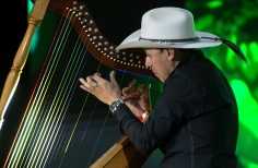 Joropo al parque. El arpa en tradición