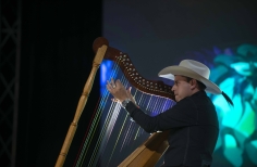Joropo al parque. El arpa en tradición